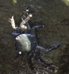 Вардане: микроджиг не зашёл — вода просветлела, ушёл в реки и в море за ставридой