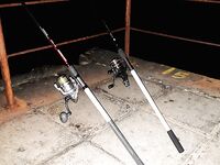 Крым, «лисы» с 21 до 24: раздача коротким окном и пара отпущенных