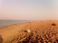 Благовещенская, фотоотчет: наморозил около 15 кг ставриды и кефали