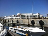 Адлер, год на месте: снасти, насадки и «фарш» на кефаль — рыбалка круглый год