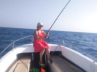 Адлер, напротив вокзала: ставрида стабильно, по пеламиде вышла селедка