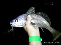 Судак, под крепостью: вечерний рокфиш и бойкий горбылик около килограмма