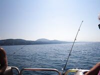 Сочи, прогулка на катамаране: самодур, ставридка и «дракончик»