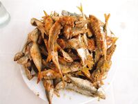 Сочи, прогулка на катамаране: самодур, ставридка и «дракончик»