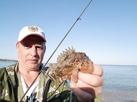 Учкуевка, сильная волна: скорпена на жесткий силикон, самодельные тирольки