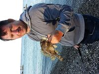 Дивноморское, отводной: розовый, зеленый, белый — много зацепов и откусов