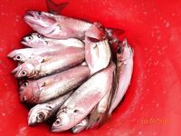 Дивноморское: волнорезы и море — первый опыт понравился, по эмоциям зашло