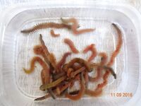 Дивноморское: волнорезы и море — первый опыт понравился, по эмоциям зашло