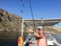 Судак, «самодур» по луфарю: ведро за 1,5 часа и острые зубы — аккуратно