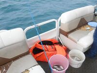 Лоо, 20–25 октября: глубины 30–40 м, ставрида стабильно и луфарь в прилове