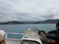 Лоо, 20–25 октября: глубины 30–40 м, ставрида стабильно и луфарь в прилове