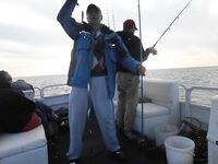 Лоо, 20–25 октября: глубины 30–40 м, ставрида стабильно и луфарь в прилове