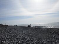 Сочи, немного фото береговой рыбалки — сезонный набор и виды