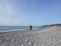 Сочи, немного фото береговой рыбалки — сезонный набор и виды