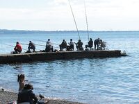 Сухум, берег и волнорезы: хлеб на тройнике для кефали, рапан на барабульку