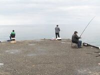 Сухум, берег и волнорезы: хлеб на тройнике для кефали, рапан на барабульку