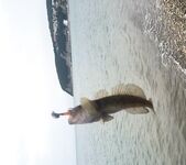 Новомихайловка, поиск точек: ласкирь у мысика и рассветные горбыльки у палаточника