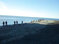 С берега по люрексу 12 кг вчера и 9 сегодня: погода развернулась на лето