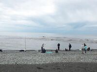 С берега по люрексу 12 кг вчера и 9 сегодня: погода развернулась на лето