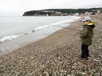 Новомихайловский, 22.05–02.06: ставрида, карась, скорпена и первая скорпена у сына