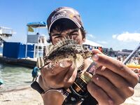 Пирс под запретом, но пропуск получен: барабулька, первая рулена и встреча с «драконом»