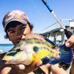 Пирс под запретом, но пропуск получен: барабулька, первая рулена и встреча с «драконом»