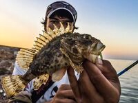 Пирс под запретом, но пропуск получен: барабулька, первая рулена и встреча с «драконом»