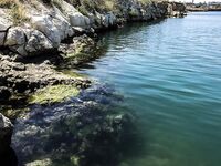 К береговой «стреле» за руленой: зеленухи, откушенные хвосты и неожиданный горбыль днём