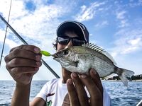 Залив и «риф» в центре: барабулька, первый ласкирь, скорпена и капризы Kasari