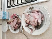 Чёрное море, короткая пауза между выходами: что попало на обед сегодня