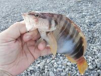 Чёрное море: несколько фотографий из поездки