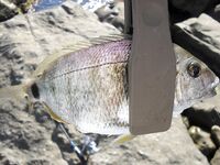 Чёрное море: несколько фотографий из поездки