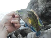 Чёрное море: несколько фотографий из поездки