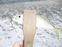 Чёрное море: несколько фотографий из поездки