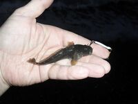 Чёрное море: несколько фотографий из поездки