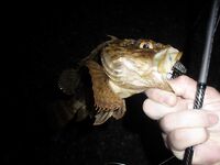 Чёрное море: несколько фотографий из поездки