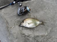 Чёрное море: несколько фотографий из поездки