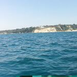 Болгария, утренний забег: кефаль до прихода дельфинов