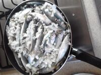 Чёрное море: «сковородочные» готовы, остальное на GoPro