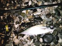 Абхазия, Лдзаа: ночная ставрида со счёта двенадцать и коптильня к утру