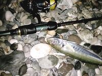 Абхазия, Лдзаа: ночная ставрида со счёта двенадцать и коптильня к утру