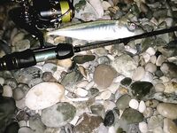 Абхазия, Лдзаа: ночная ставрида со счёта двенадцать и коптильня к утру