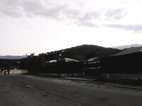 Абхазия, Лдзаа: ночная ставрида со счёта двенадцать и коптильня к утру