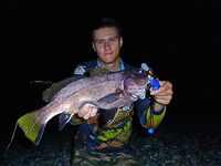 Ночной рокфишинг: камни, кренки с шариками и поиск точек вместо ожидания