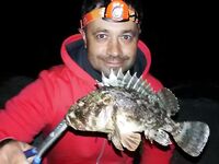 Судак, городской берег: ерши на лёгкий джиг, короткие забросы между купальщиками