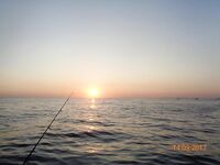 Дивноморское без насадок и с насадкой: самодур, поплавок и осторожный дракончик