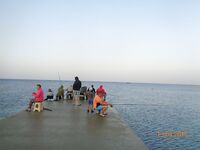 Дивноморское без насадок и с насадкой: самодур, поплавок и осторожный дракончик