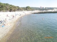 Дивноморское без насадок и с насадкой: самодур, поплавок и осторожный дракончик