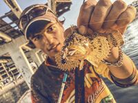 Севастопольские летние сессии: солнце жарит, вода прохладная, а клев бодрит