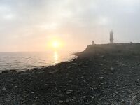 Большой Утриш: зелёнуха открыла сезон, смарида в темпе, маракуйя «молчит» в холод